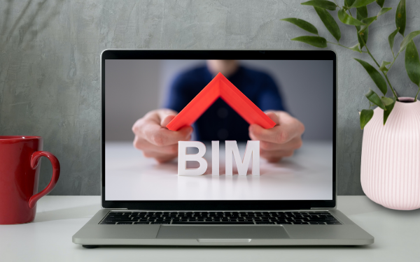 Did You Know Bim