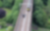 Uav Vogel Rail