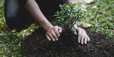 Every tree helps!