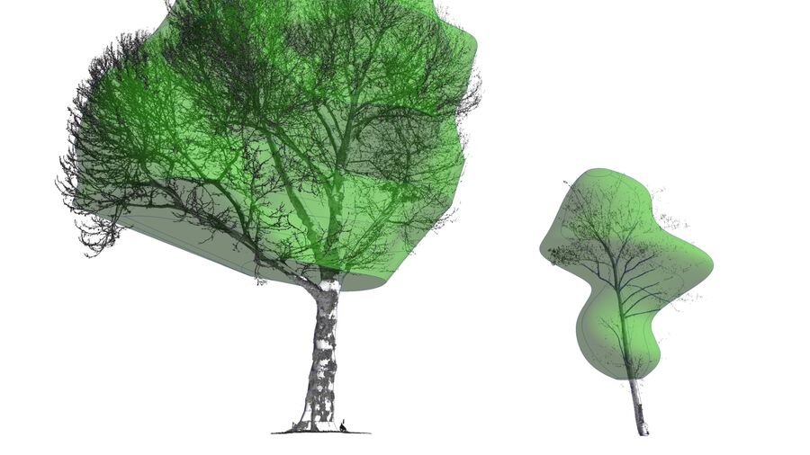 Tree Modelling