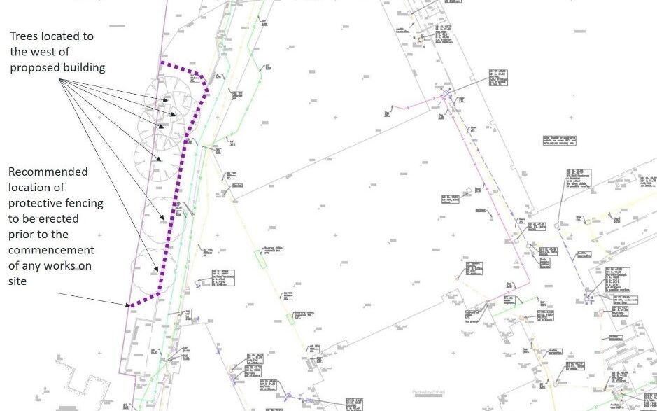 Environmental Services Turner Free School Tree Arboricultural Plan