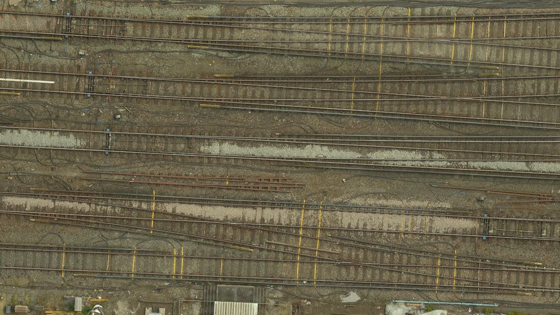 Uav Vogel Orthophoto