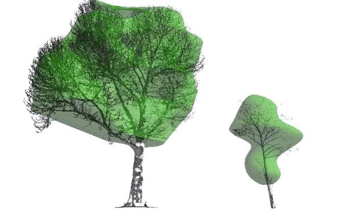 Tree Massing