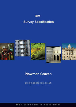 Bim Survey Specification